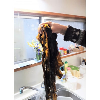 紀州衣奈産乾燥わかめ　150g×5パック(2025年産)