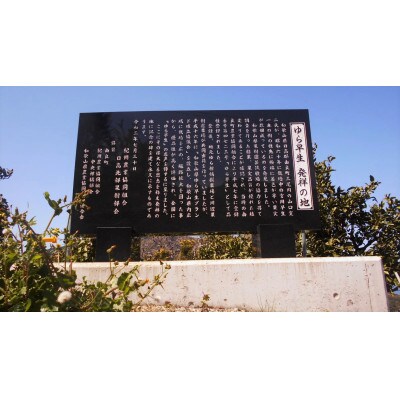 【先行受付】和歌山由良町産 由良早生みかん 約3kg (L～2Sサイズおまかせ)いずれかお届け