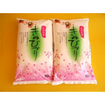 【令和6年産】和歌山県産キヌヒカリ　20kg(10kg×2)