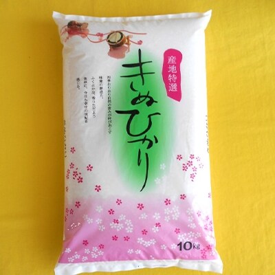 2022年3月発送開始『定期便』和歌山県産キヌヒカリ　10kg　全12回