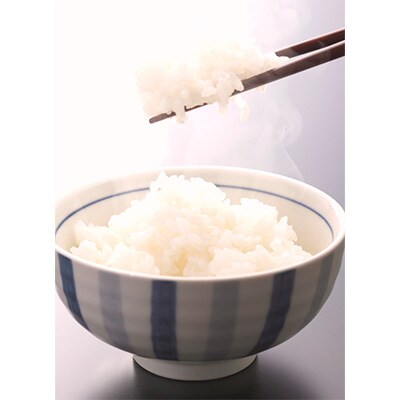 2023年6月発送開始『定期便』和歌山県産キヌヒカリ　10kg 全12回