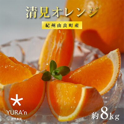 和歌山県 由良町産 清見オレンジ 8キロ
