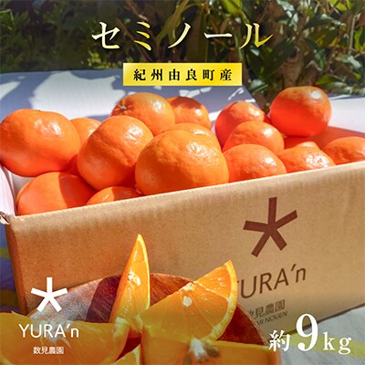 和歌山県産 セミノール 柑橘9キロ