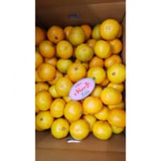 和歌山県由良町産　ゆらっ子(ゆら早生みかん)5Kg(和歌山県由良町)