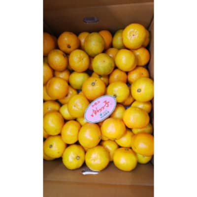 和歌山県由良町産　ゆらっ子(ゆら早生みかん)5Kg(和歌山県由良町)