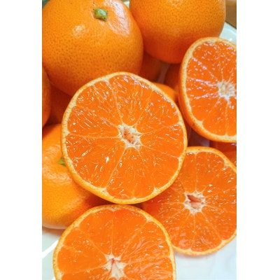 和歌山県由良町産　完熟由良みかん　ご家庭用3kg1箱(SMLサイズ混)薄皮で濃い甘さのみかん