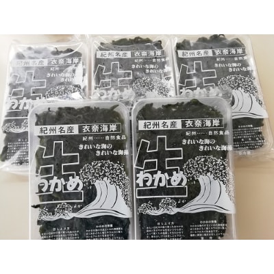 紀州名産　塩わかめ1kg(200g×5)(由良町)