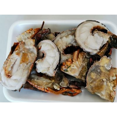 冷凍伊勢海老カット【サイズ不揃い 】約1kg(由良町)