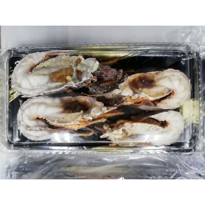 宮子あじ・冷凍伊勢海老カットのお試しセット