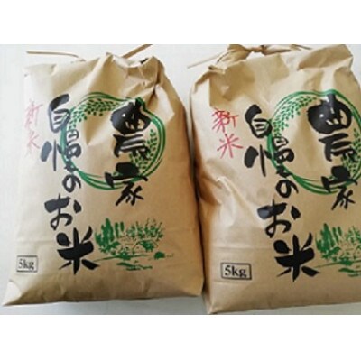 キヌヒカリ10kg(2022年産)由良町