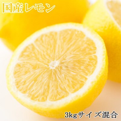 【産直】和歌山産レモン約3kg(サイズ混合)(由良町)