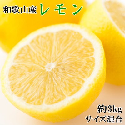 【産直】和歌山産レモン約3kg(サイズ混合)(由良町)