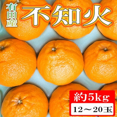 【濃厚春柑橘】有田産不知火約5kg(12玉～20玉おまかせ)(由良町)