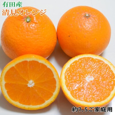 有田産清見オレンジ約7.5kg(M～3Lサイズ)ご家庭用(由良町)