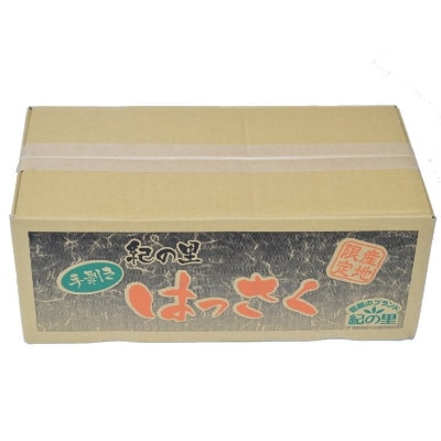 和歌山産手剥き八朔缶詰450g×8缶入り(由良町)