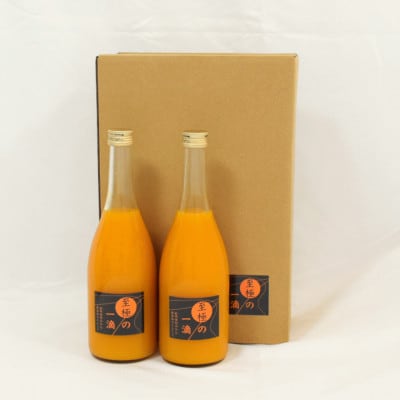 【無添加】田村みかんの新鮮100%ジュース「至極の一滴」720ml×2本入り(由良町)