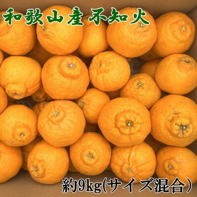 「農園直送」和歌山県産不知火　もりもりの約9kg(サイズ混合　ご家庭用)(由良町)
