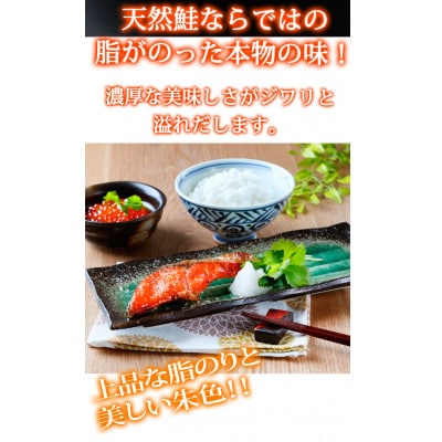和歌山魚鶴仕込の天然紅サケ切身約2kg(由良町)