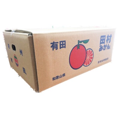 【2026年11月下旬より発送】【ご家庭用訳アリ】田村みかん 10kg