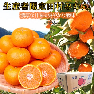 【2026年11月下旬より発送】高級ブランド田村みかん　5kg