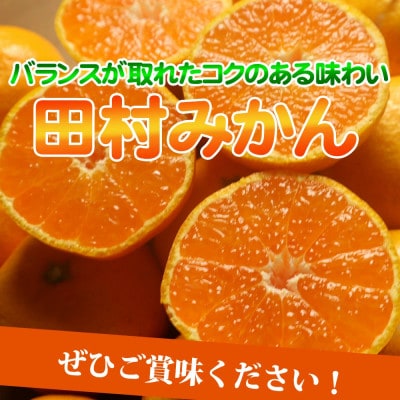 【2026年11月下旬より発送】高級ブランド田村みかん　5kg