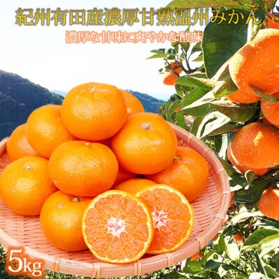 【2026年11月中旬より発送】紀州有田産濃厚完熟温州みかん　5kg