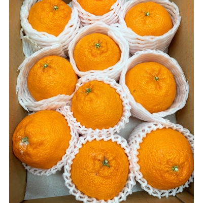 果肉プリプリ!　完熟紀州デコ(不知火) 約3kg