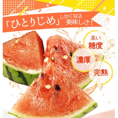 紀州和歌山産小玉スイカ「ひとりじめ」1玉