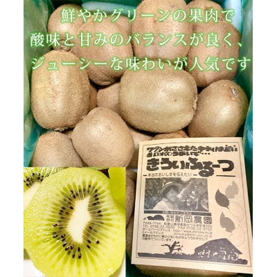 紀州かつらぎ山のキウイフルーツ約3kg
