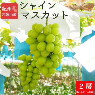 紀州和歌山産シャインマスカット2房(約1kg～1.4kg)