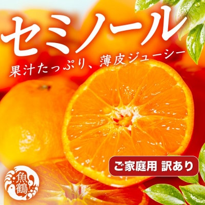 【ご家庭用訳あり】ジューシー柑橘　セミノールオレンジ　5kg
