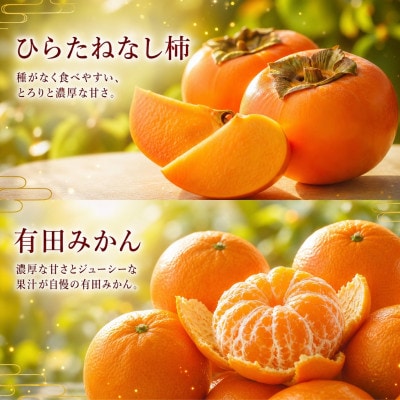 【発送月固定定期便】紀州和歌山産旬のフルーツセット(バレンシア・桃・ひらたねなし柿・みかん)全4回
