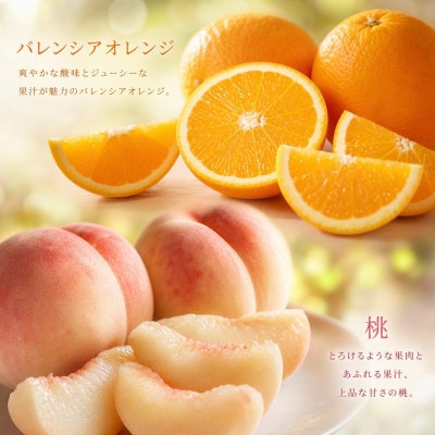 【発送月固定定期便】紀州和歌山産旬のフルーツセット(バレンシア・桃・ひらたねなし柿・富有柿)全4回