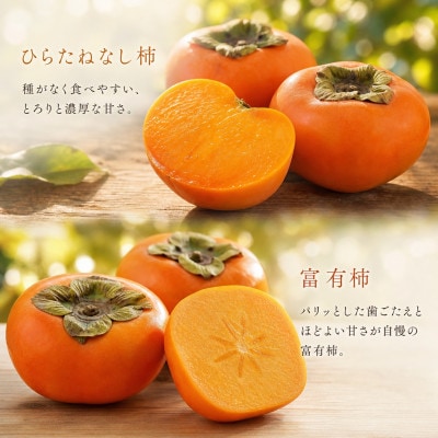 【発送月固定定期便】紀州和歌山産旬のフルーツセット(バレンシア・桃・ひらたねなし柿・富有柿)全4回