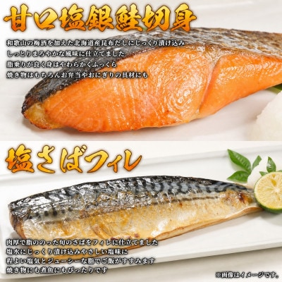 【毎月定期便】海鮮セットJ(銀鮭切身・サバフィレ・3種切身・海鮮漬)全4回
