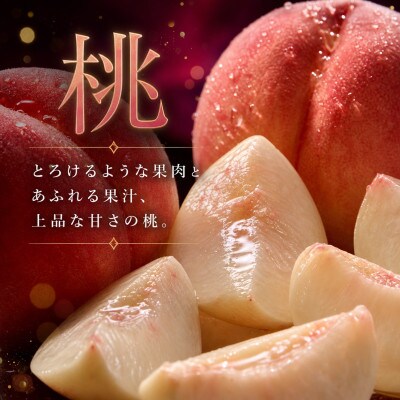 【発送月固定定期便】紀州和歌山産旬のフルーツセット(桃・ピオーネ・ひらたねなし柿)全3回