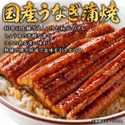 【毎月定期便】紀州和歌山うまいもんセットB(生まぐろ・うなぎ蒲焼・熊野牛)全3回