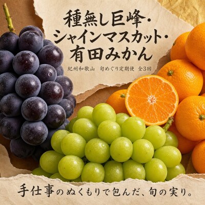 【発送月固定定期便】紀州和歌山産旬のフルーツセット(種なし巨峰・シャイン・みかん)全3回