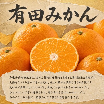 【発送月固定定期便】紀州和歌山産旬のフルーツセット(種なし巨峰・シャイン・みかん)全3回