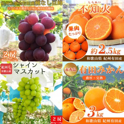 【発送月固定定期便】紀州和歌山産旬のフルーツセット(種なし巨峰・シャイン・みかん・不知火)全4回