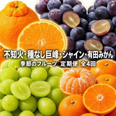 【発送月固定定期便】紀州和歌山産旬のフルーツセット(種なし巨峰・シャイン・みかん・不知火)全4回
