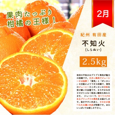 【発送月固定定期便】紀州和歌山産旬のフルーツセット(種なし巨峰・シャイン・みかん・不知火)全4回
