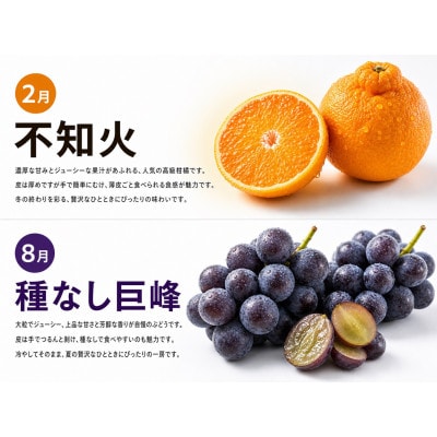 【発送月固定定期便】紀州和歌山産旬のフルーツセット(種なし巨峰・シャイン・みかん・不知火)全4回