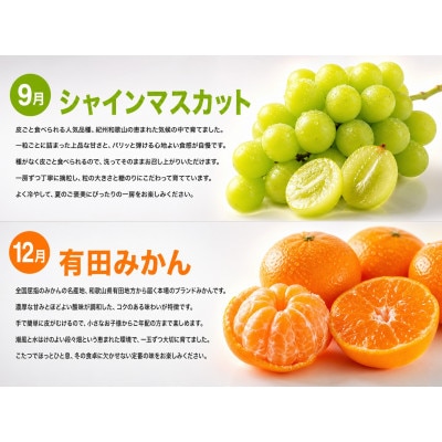 【発送月固定定期便】紀州和歌山産旬のフルーツセット(種なし巨峰・シャイン・みかん・不知火)全4回
