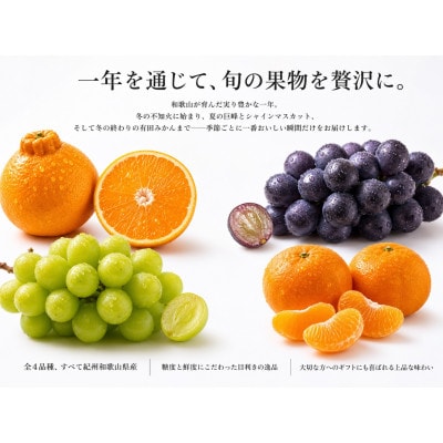 【発送月固定定期便】紀州和歌山産旬のフルーツセット(種なし巨峰・シャイン・みかん・不知火)全4回