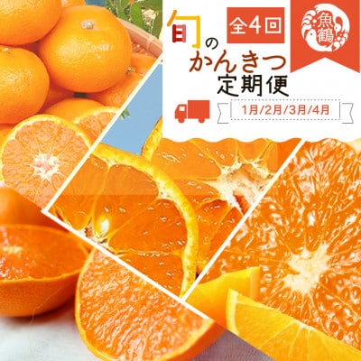 【発送月固定定期便】紀州和歌山産旬の柑橘セット(みかん・不知火・せとか・清見)全4回