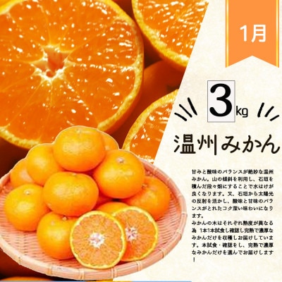 【発送月固定定期便】紀州和歌山産旬の柑橘セット(みかん・不知火・せとか・清見)全4回