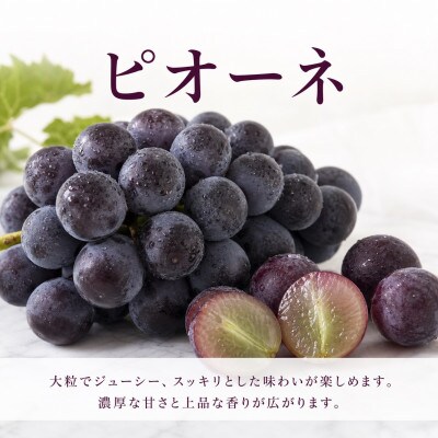 【発送月固定定期便】紀州和歌山産旬のフルーツセット(桃・梨・ピオーネ)全3回