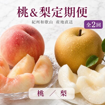 【発送月固定定期便】紀州和歌山産旬のフルーツセット(7月:桃約1.8kg・8月:梨約2kg)全2回