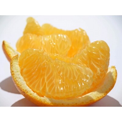 【栽培期間中出来るだけ農薬を減らした】由良八朔 10kg(Mから2Lサイズまで ※サイズ選択不可)